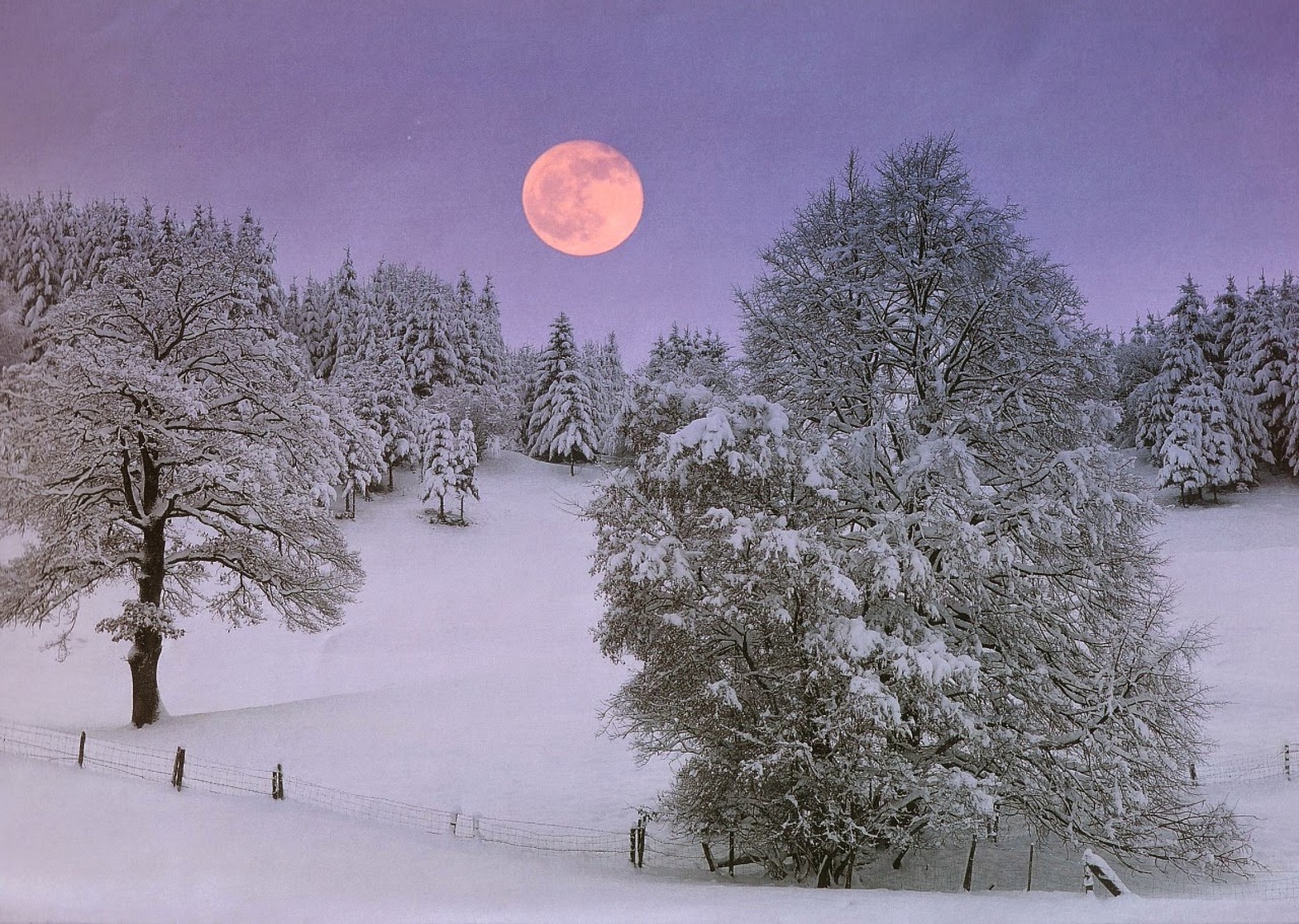 Snowy Moon