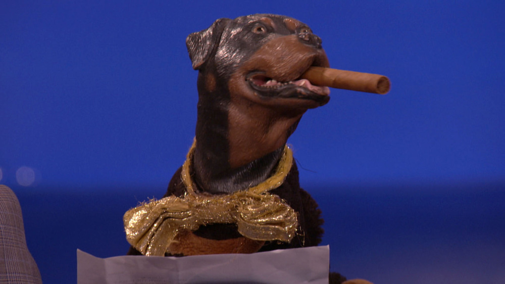 Triumph the Insult Comic Dog