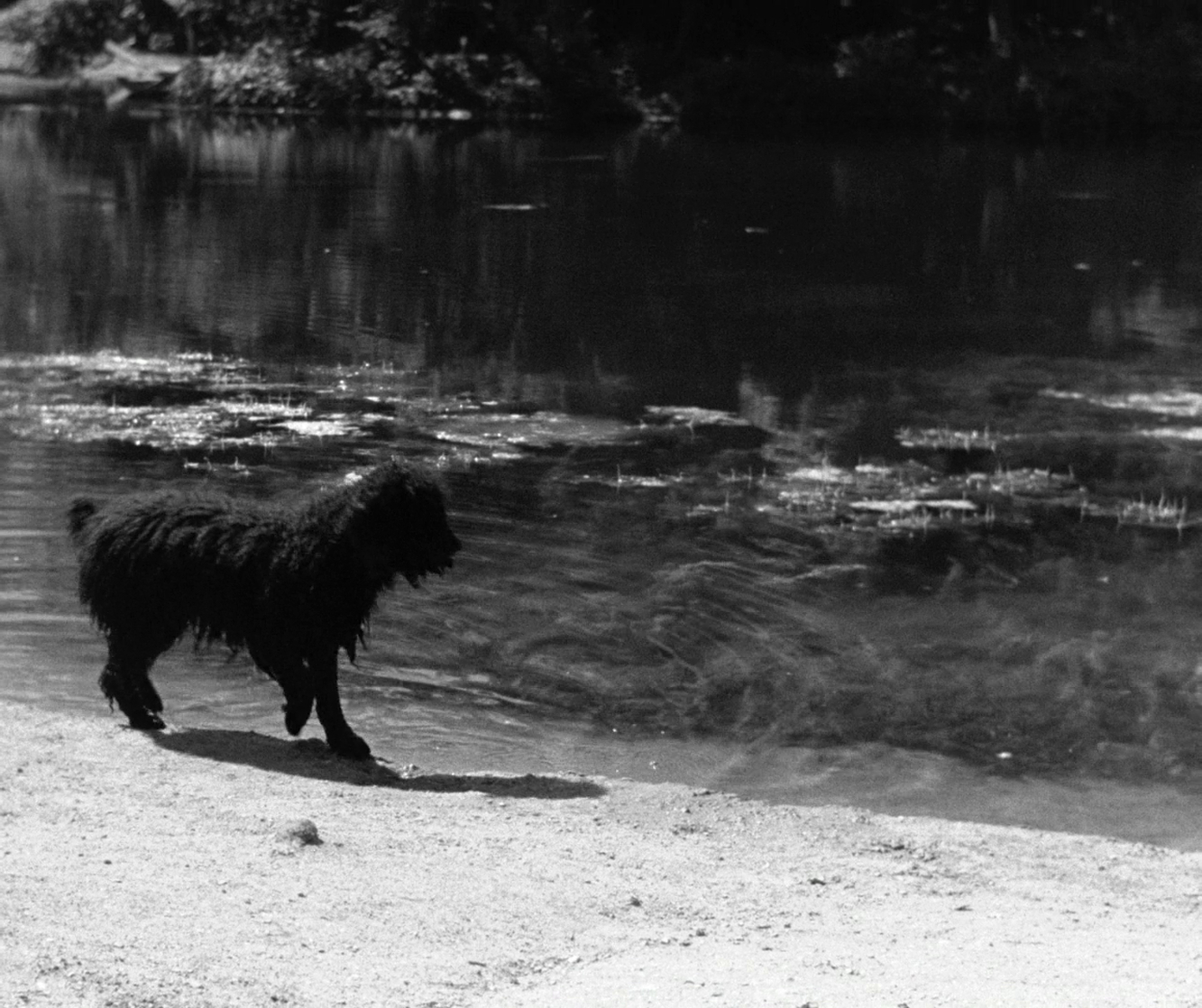Boudu Saved from Drowning Boudu Saved from Drowning