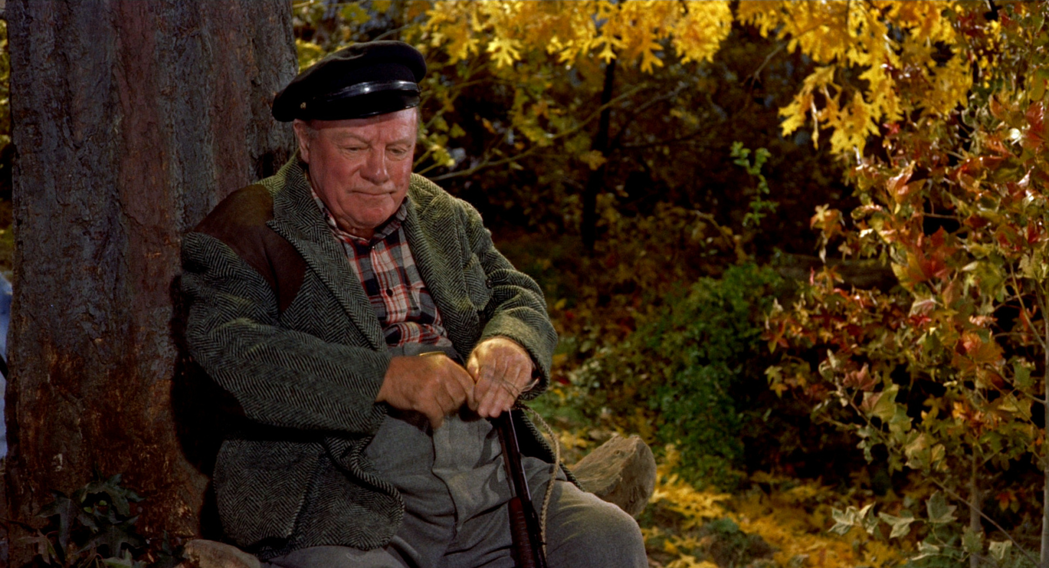The Trouble with Harry (1955) The Trouble with Harry (1955)