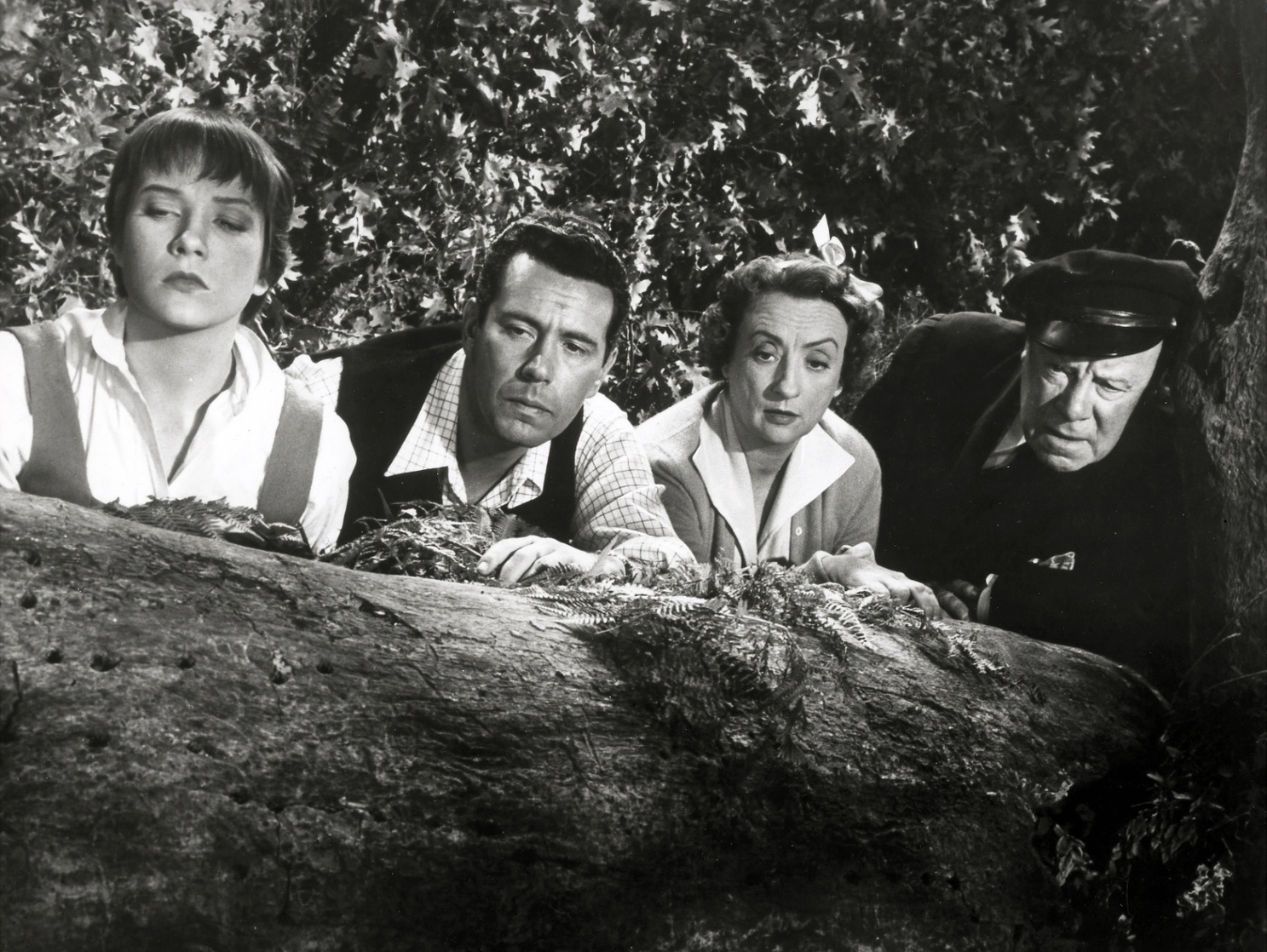 The Trouble with Harry (1955)