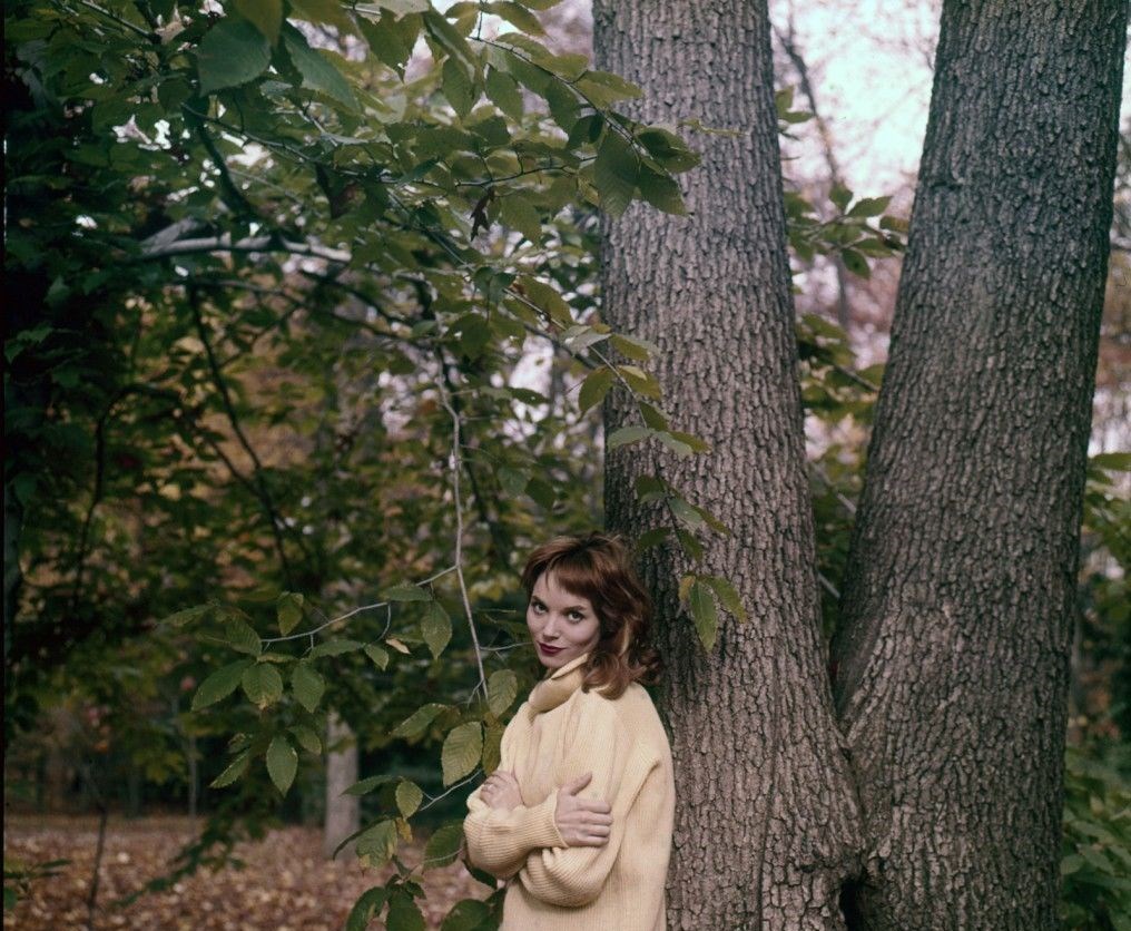 Elsa Martinelli
