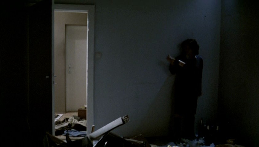 The Seventh Continent (1989)