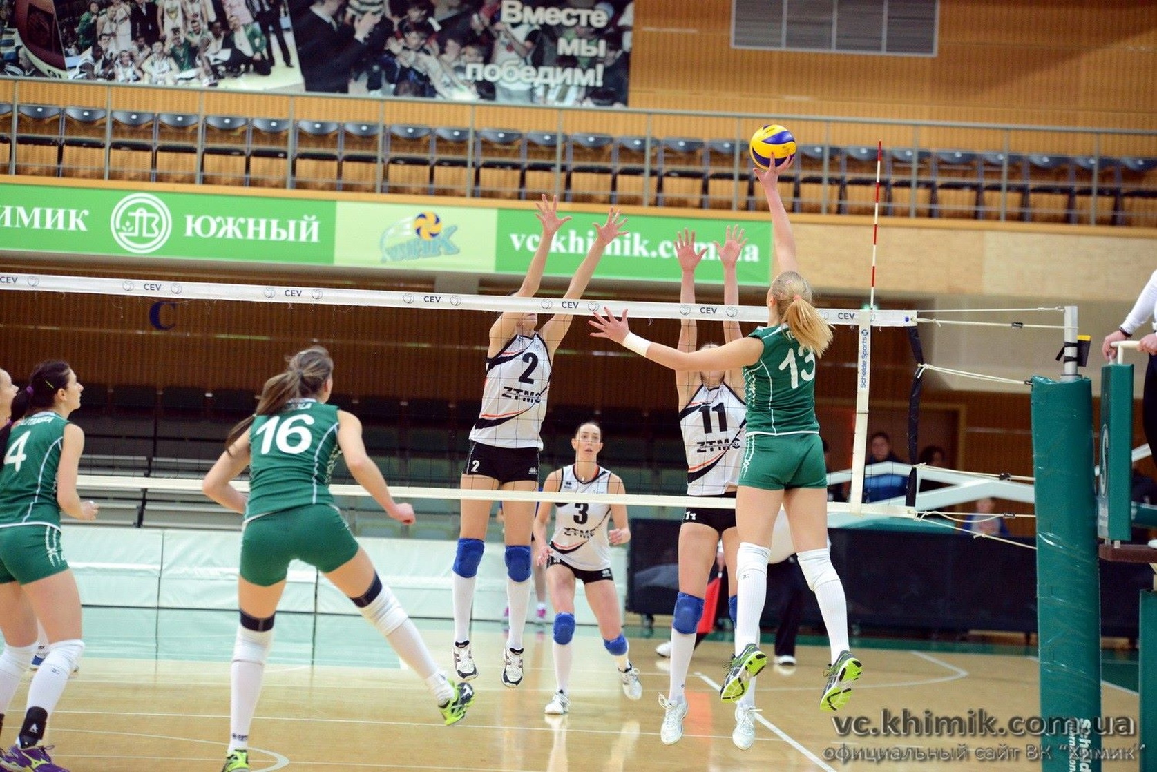 Mina Tomic