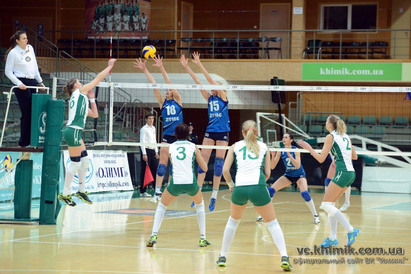 Mina Tomic