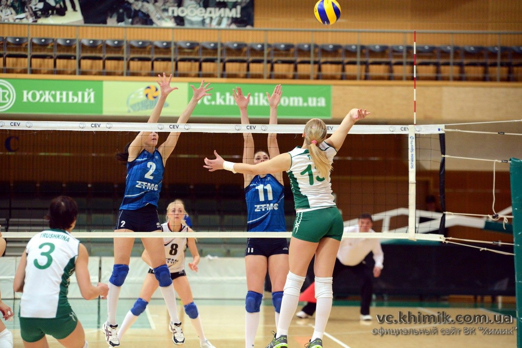 Mina Tomic