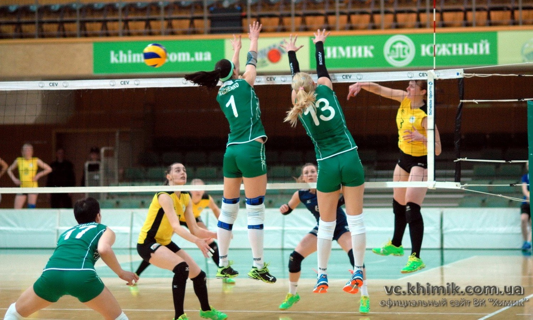 Mina Tomic