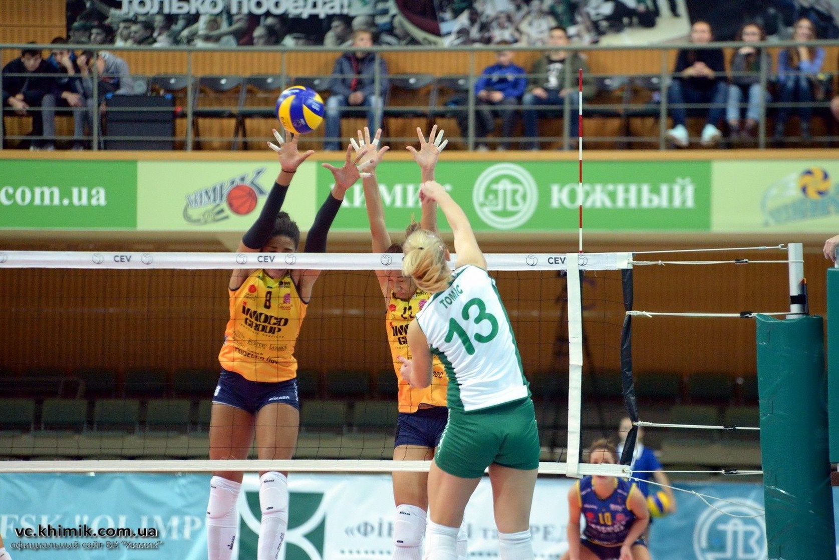 Mina Tomic