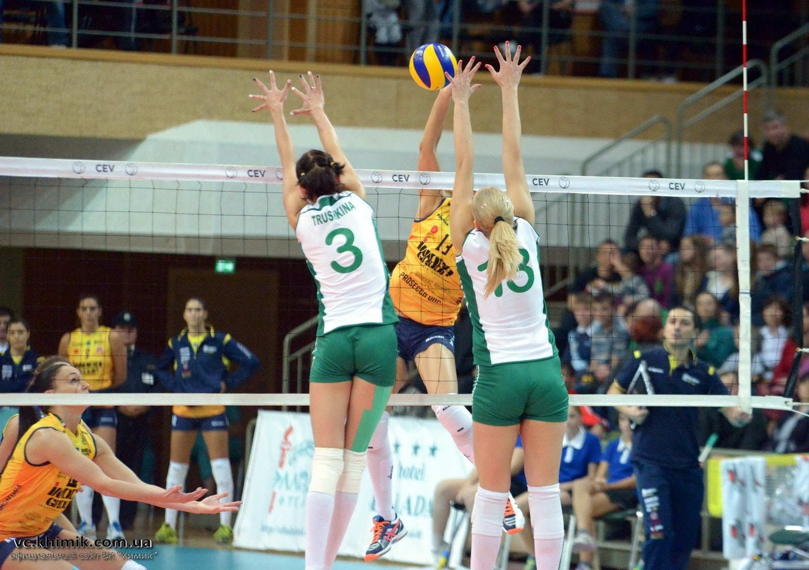 Mina Tomic