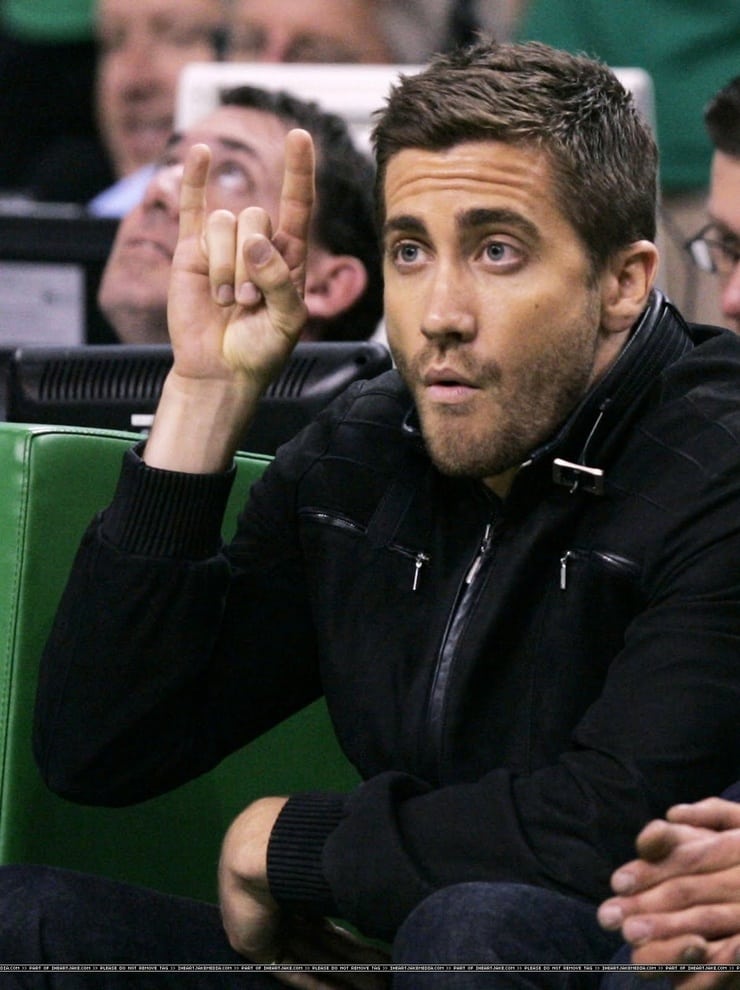 Picture of Jake Gyllenhaal.