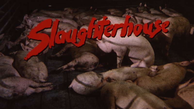 Slaughterhouse