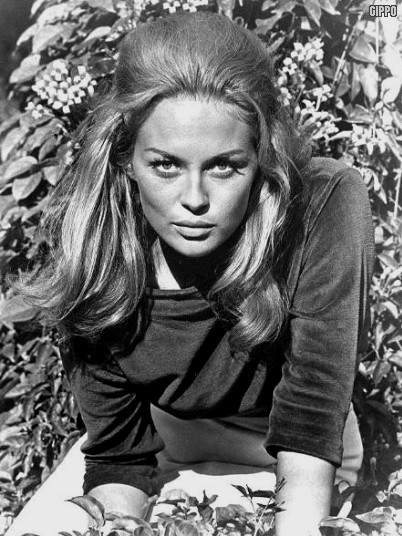 Picture of Faye Dunaway Picture of Faye Dunaway
