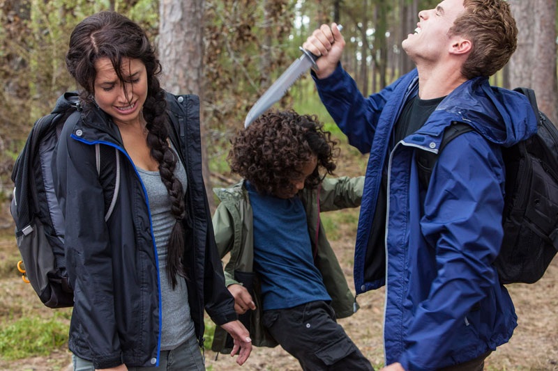 Picture of The Starving Games