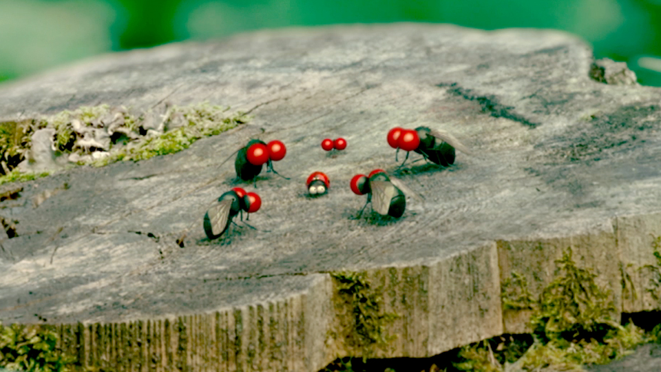 Minuscule: Valley of the Lost Ants Minuscule: Valley of the Lost Ants