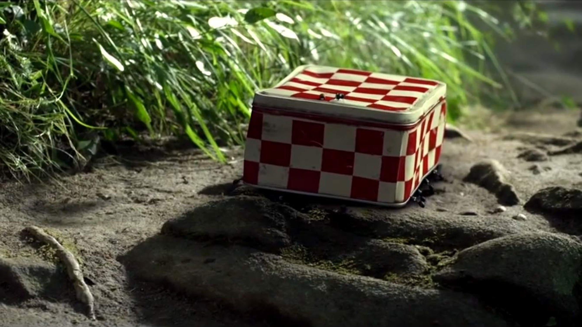 Minuscule: Valley of the Lost Ants Minuscule: Valley of the Lost Ants
