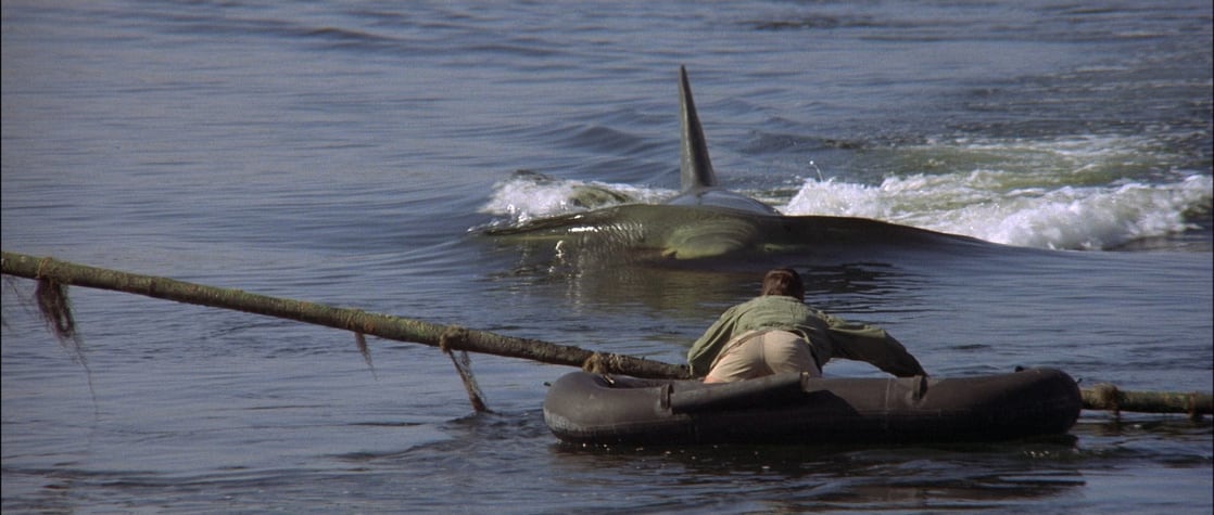 Jaws 2