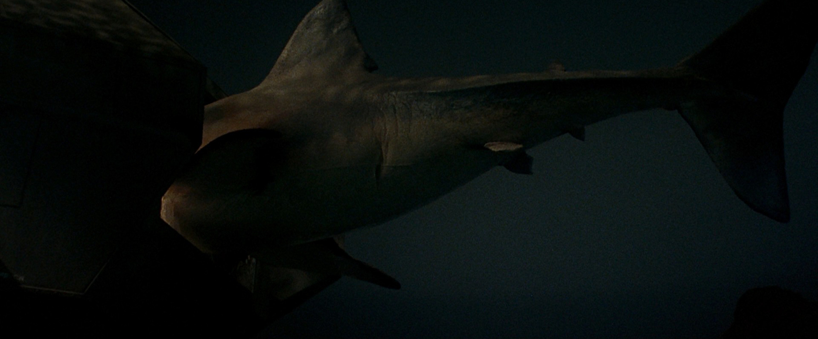 Jaws 3