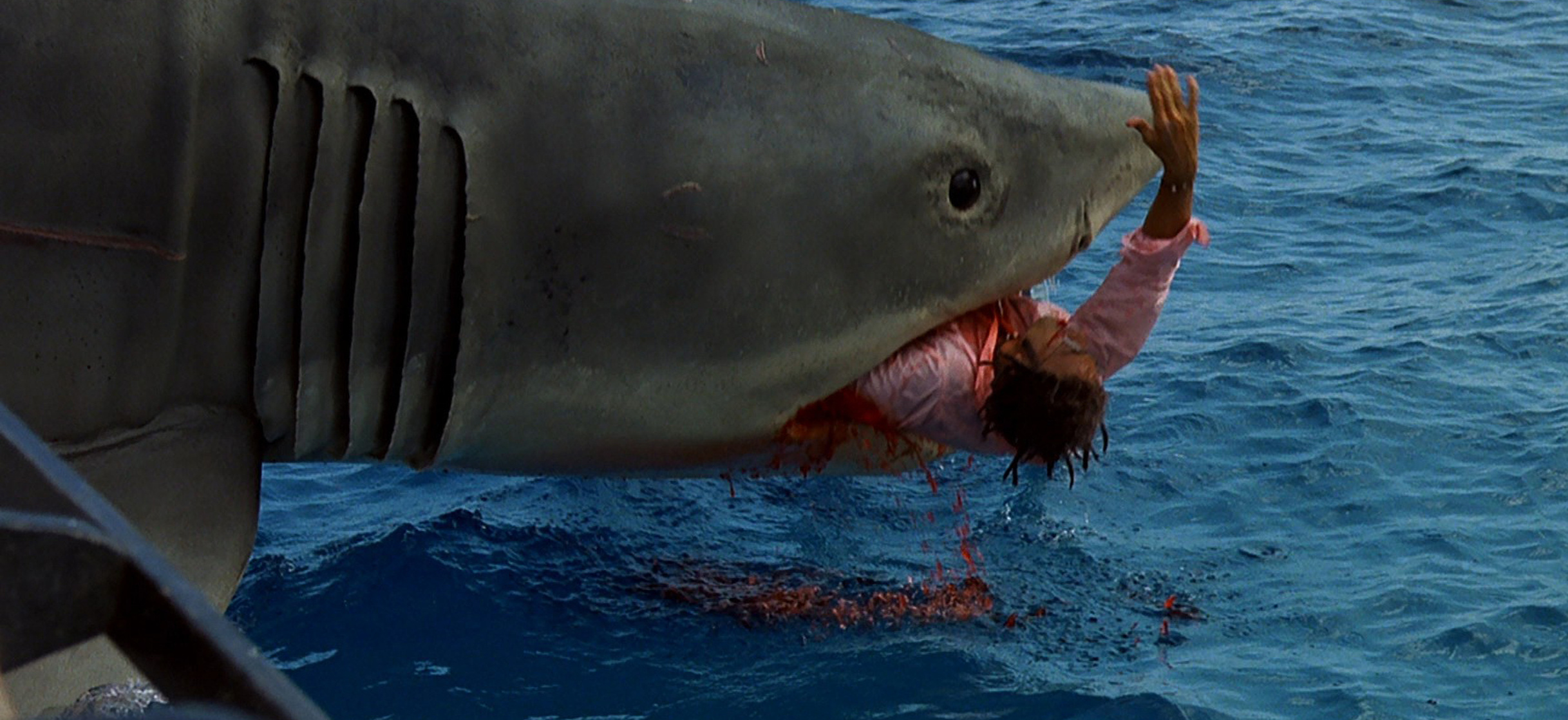 Jaws: The Revenge Jaws: The Revenge