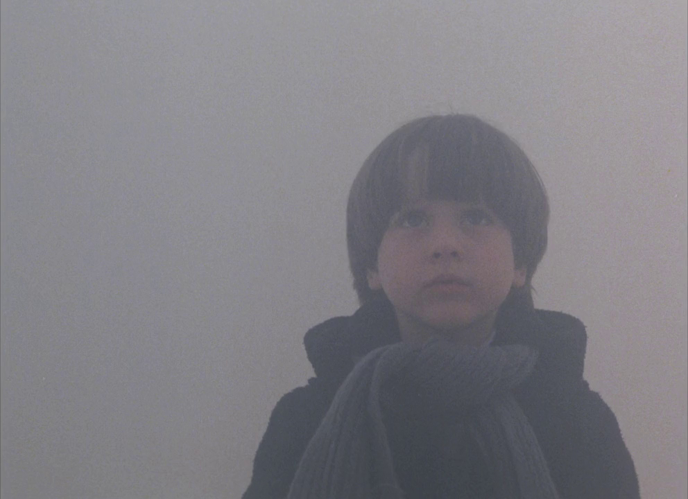 Landscape in the Mist