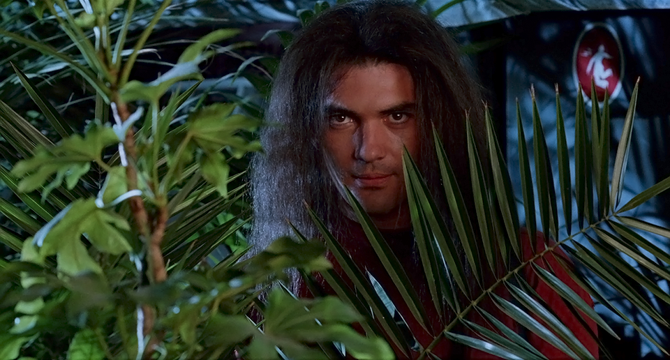 Antonio Banderas