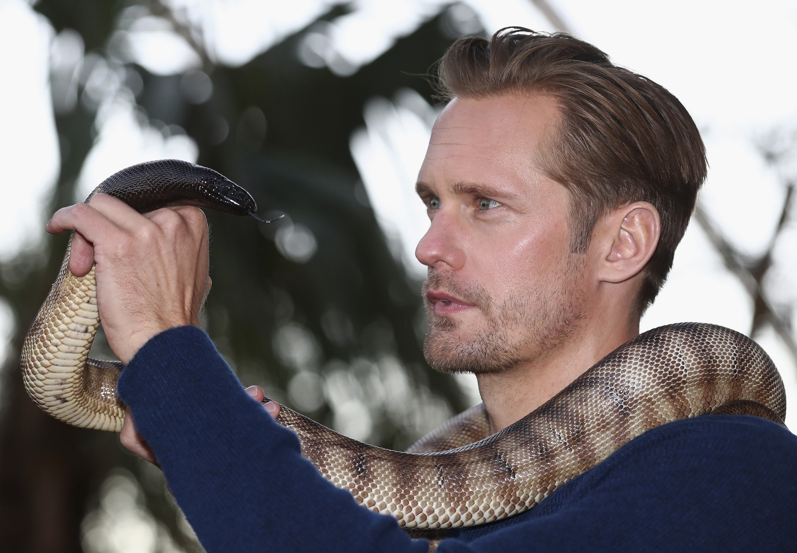 Alexander Skarsgård