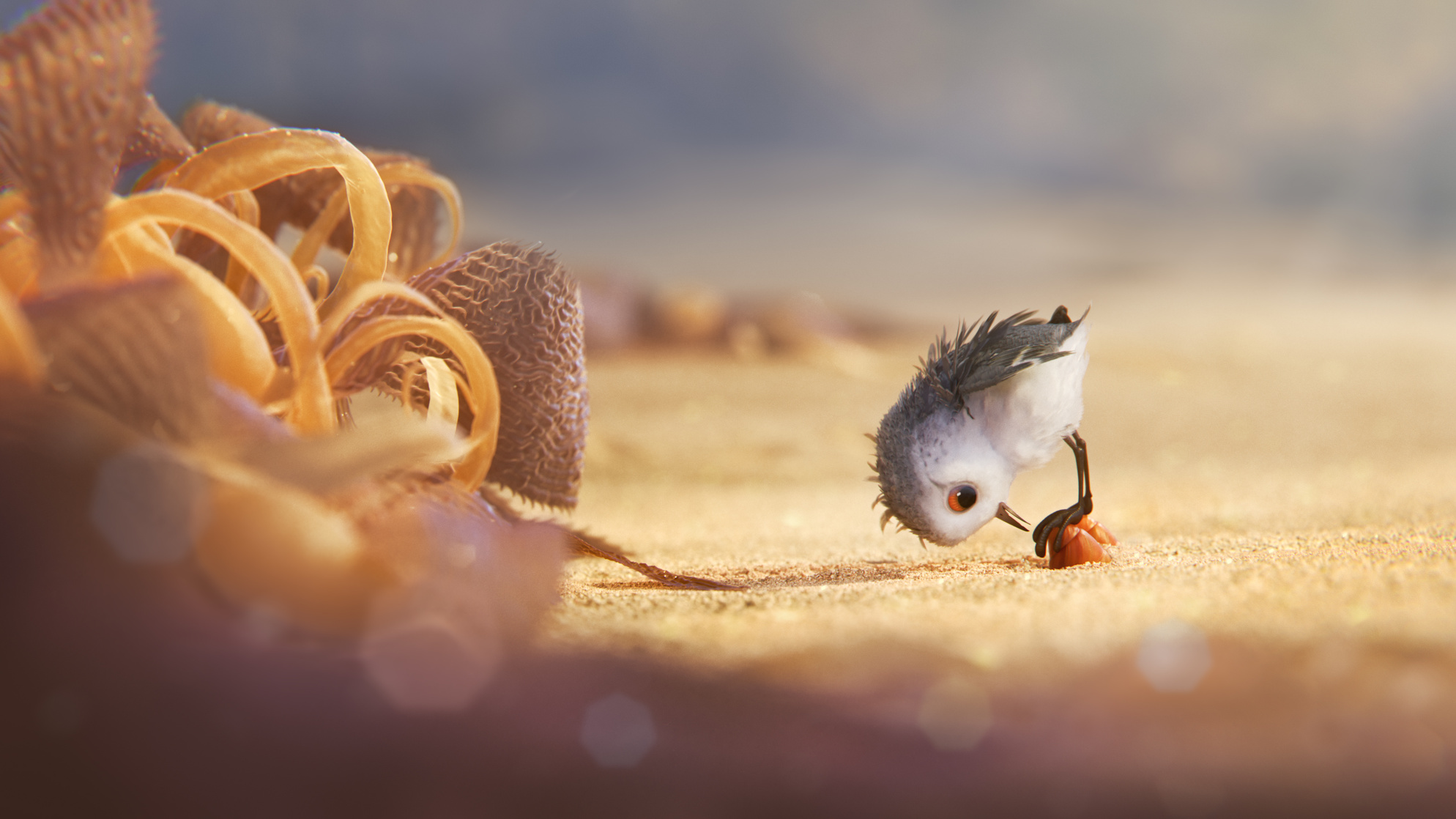 Piper Piper