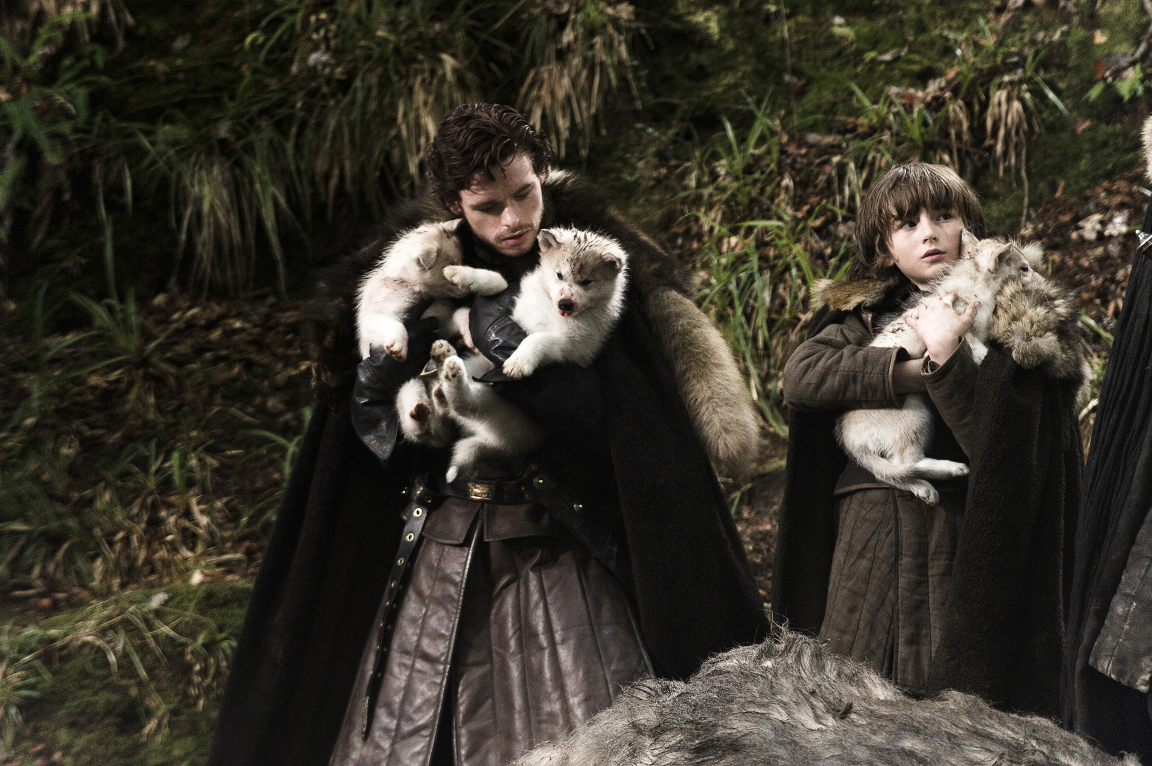 Grey Wind