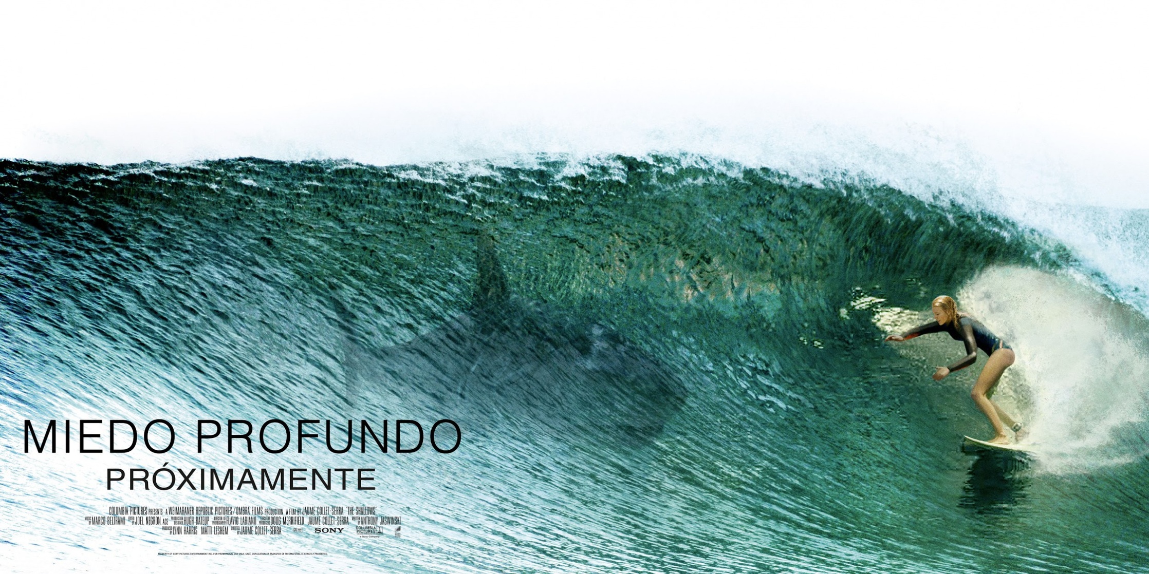 The Shallows