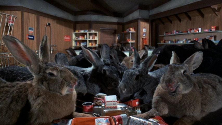 Night of the Lepus