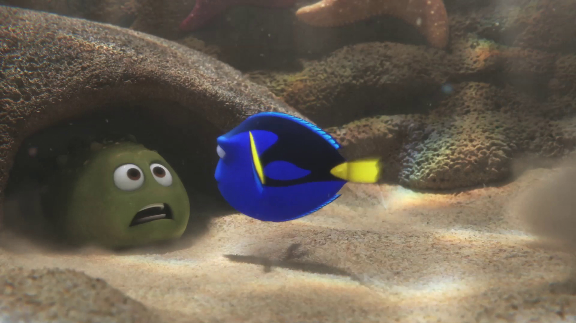 Finding Dory