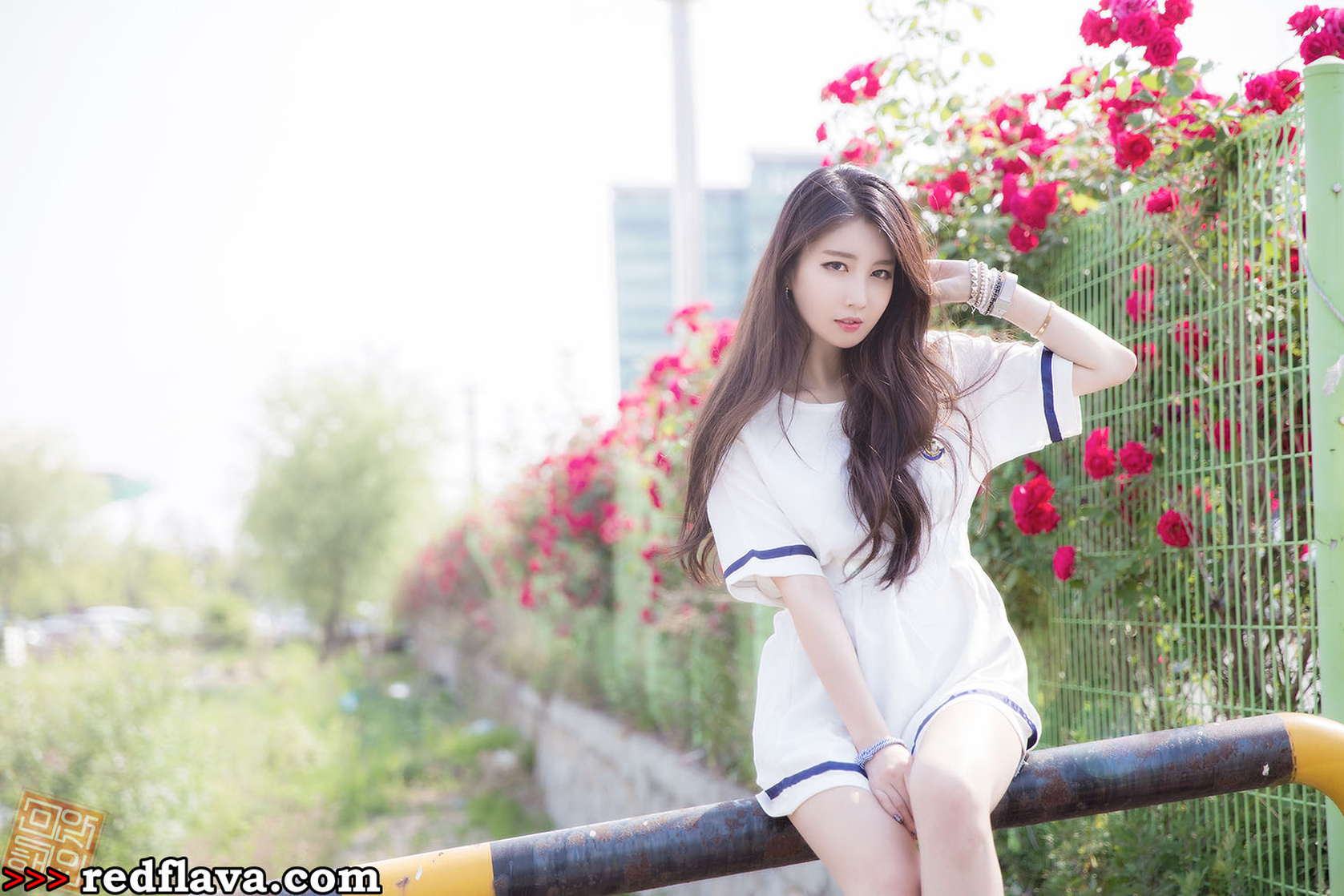 Shin Se Ha