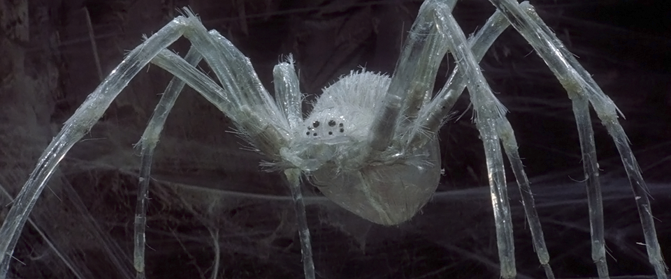 Krull Krull