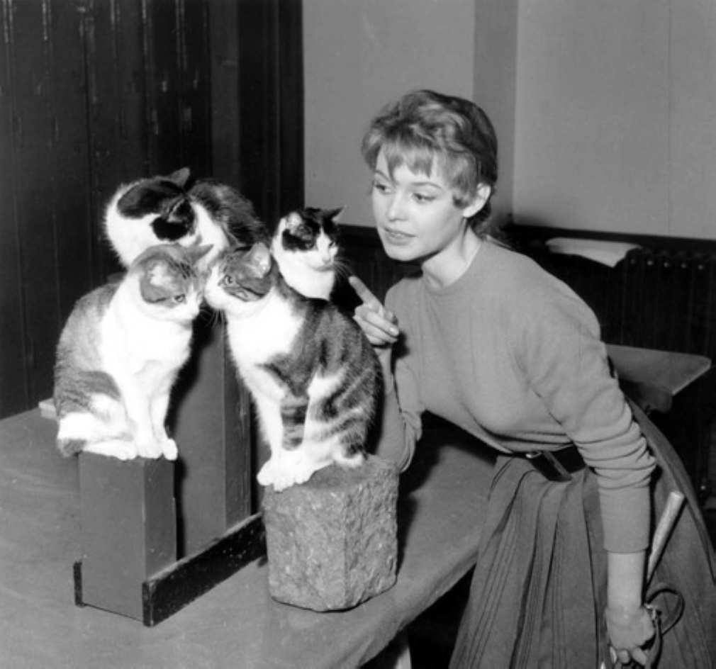 Brigitte Bardot