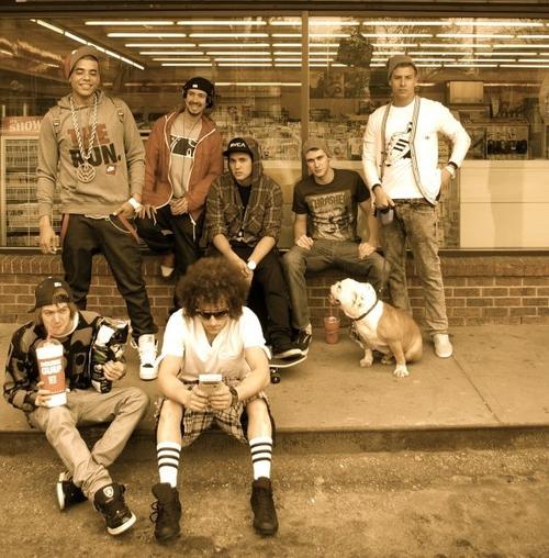 Picture of Down With Webster