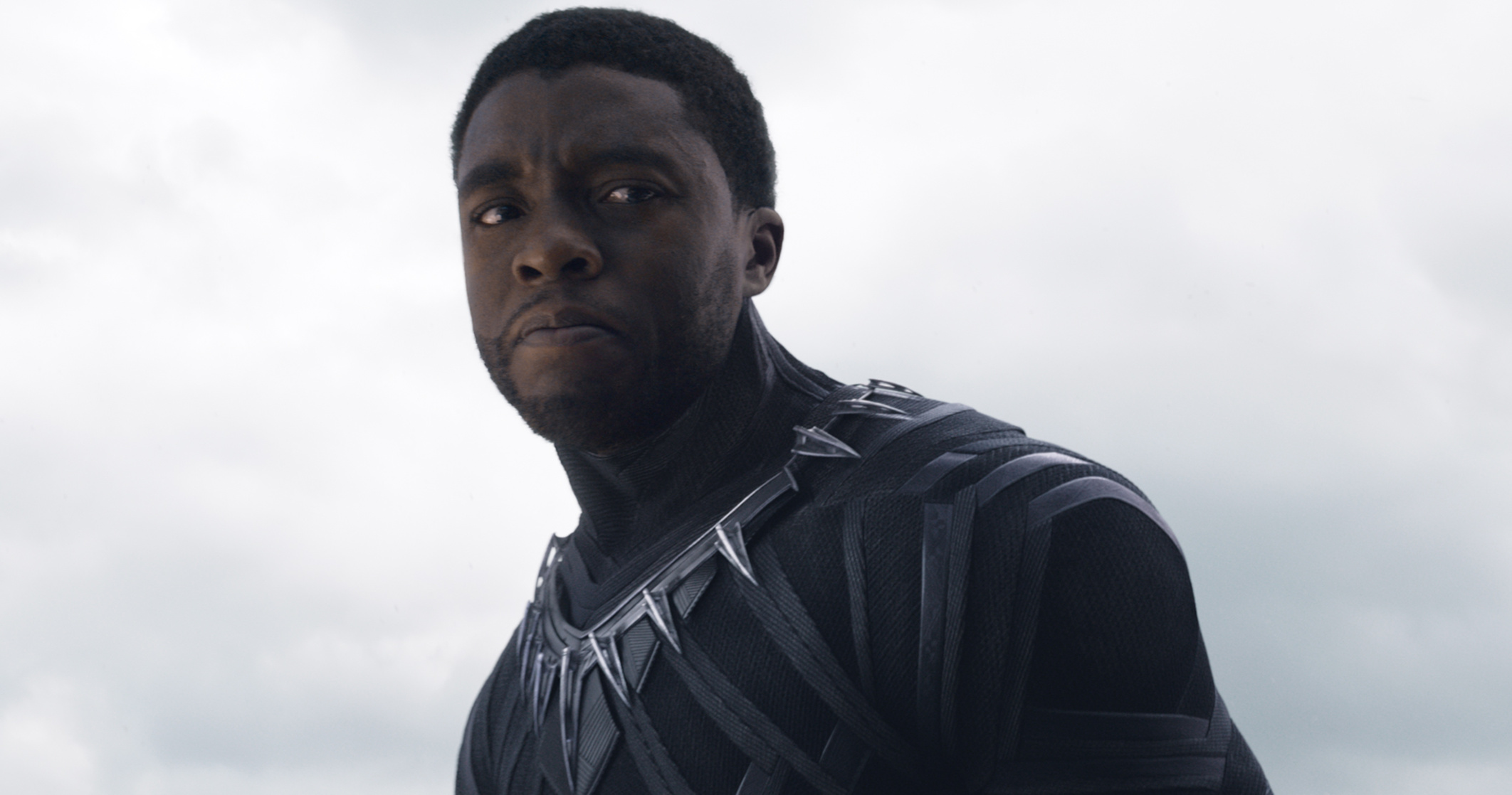 T'Challa / Black Panther (Chadwick Boseman)