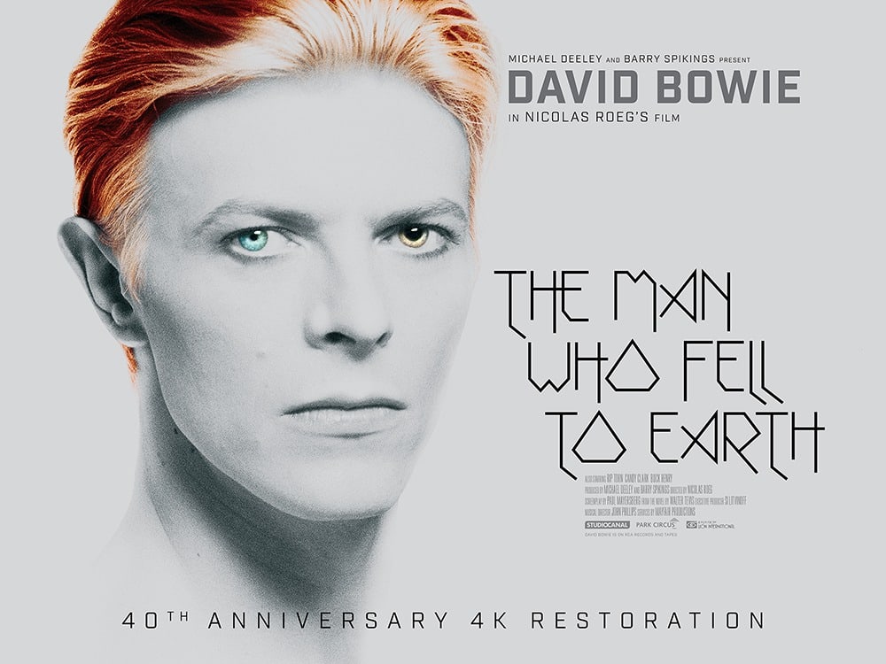 The Man Who Fell to Earth