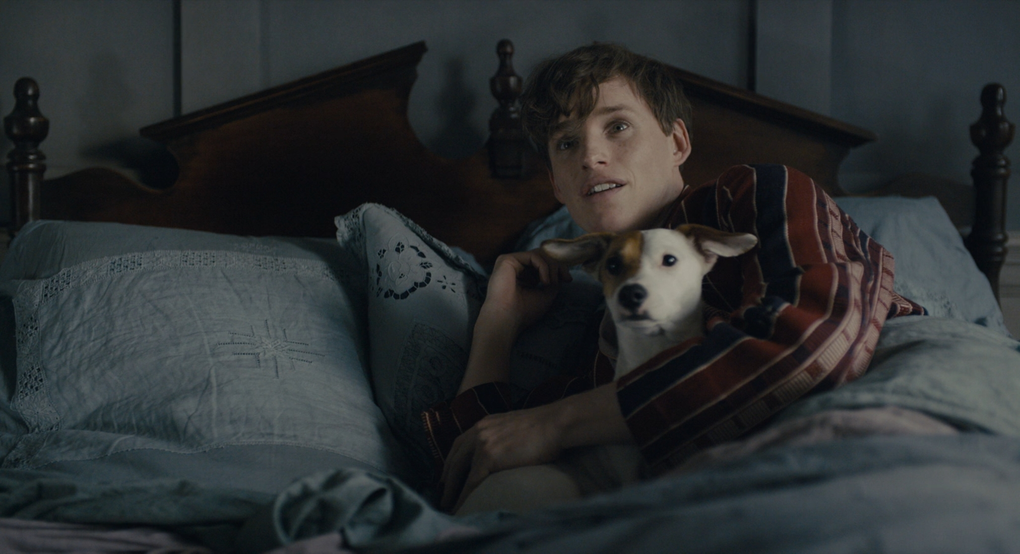The Danish Girl The Danish Girl