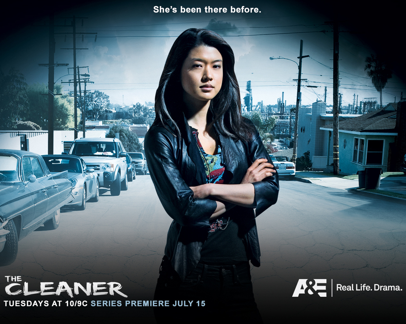 The Cleaner