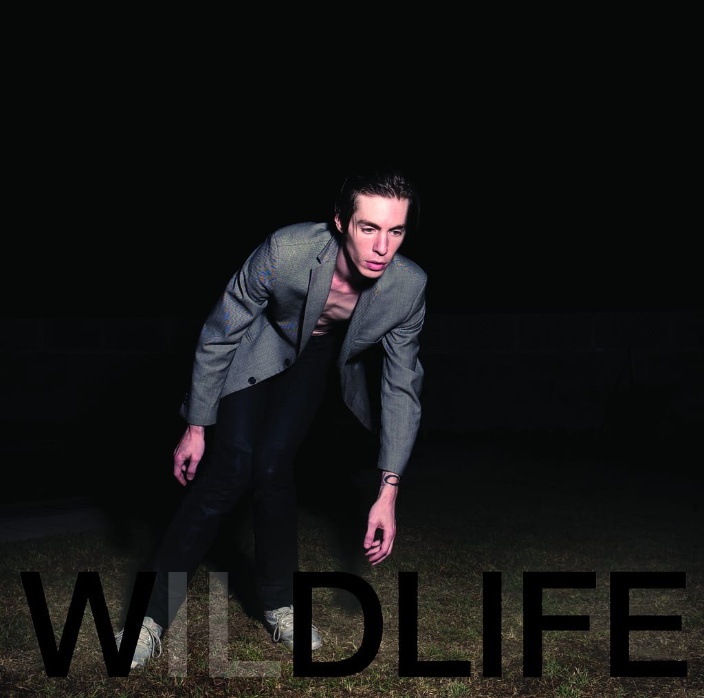 Wildlife Wildlife