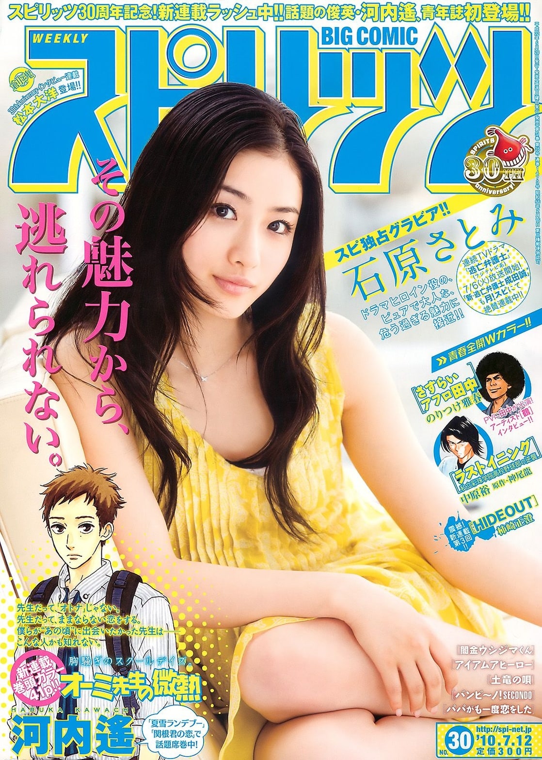 Picture Of Satomi Ishihara