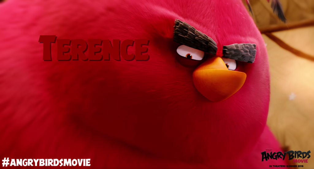 Terence  (Angry Birds)