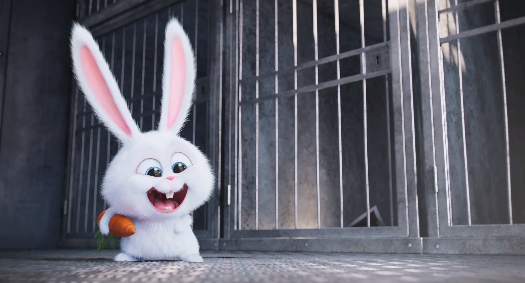 Snowball Snowball