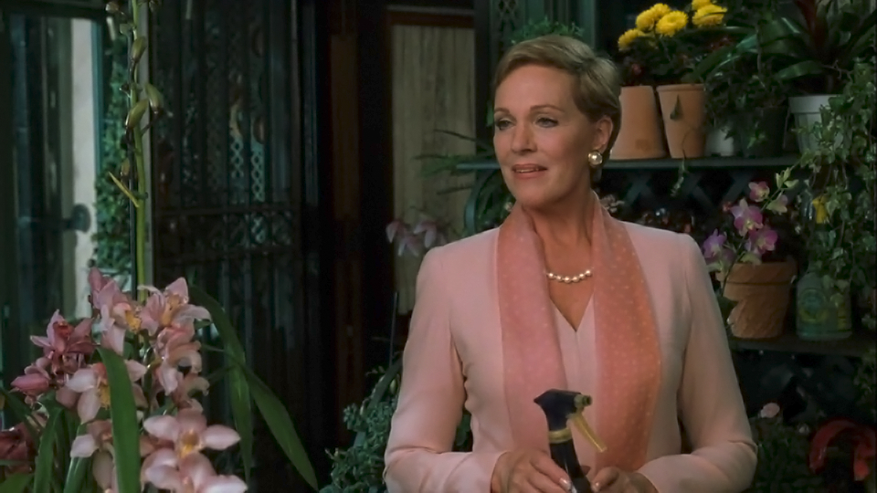 The Princess Diaries The Princess Diaries