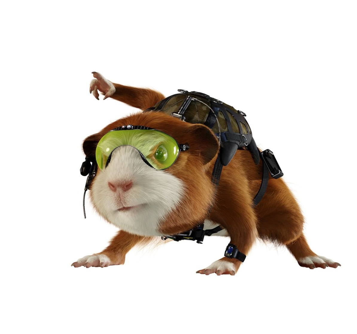 Darwin