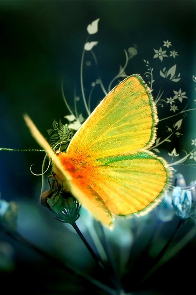 YELLOW BUTTERFLY - MARIPOSA AMARILLA