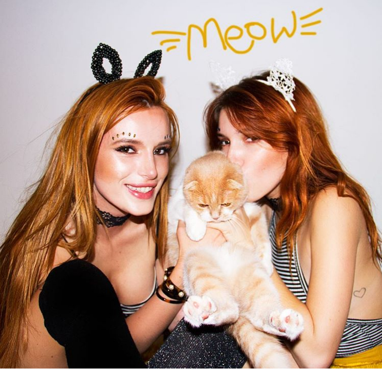 Dani Thorne