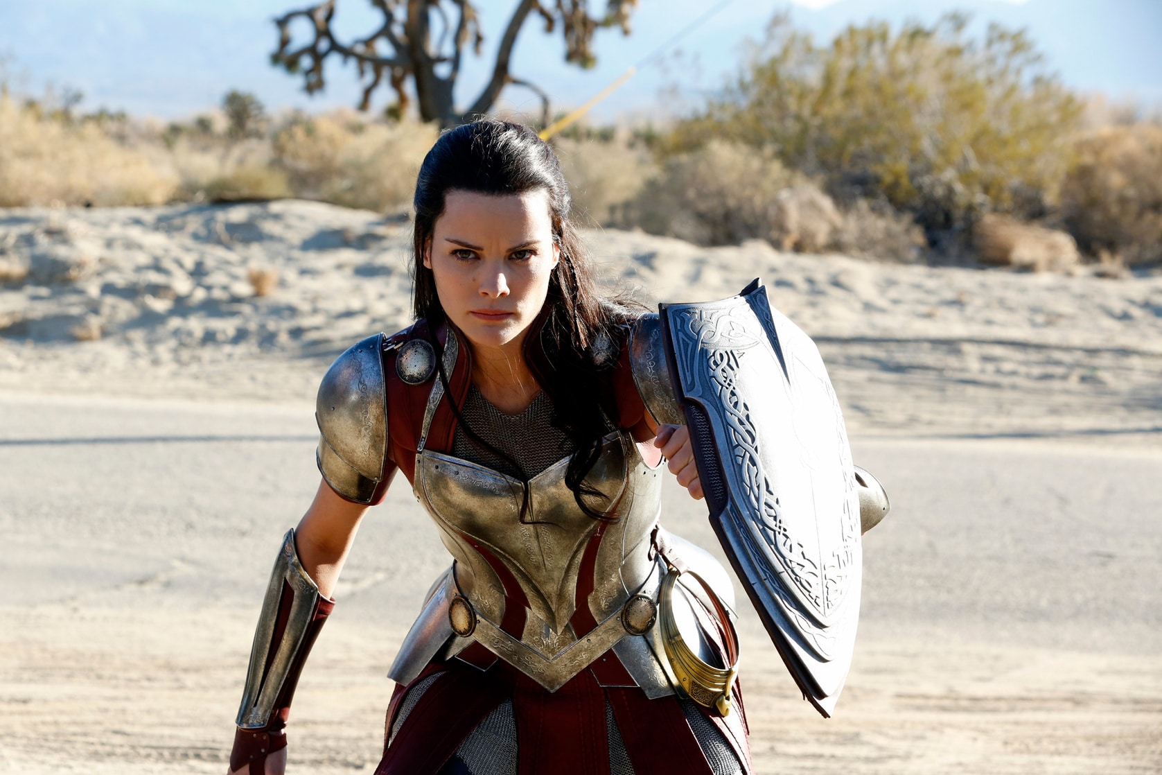 Picture Of Lady Sif Jaimie Alexander