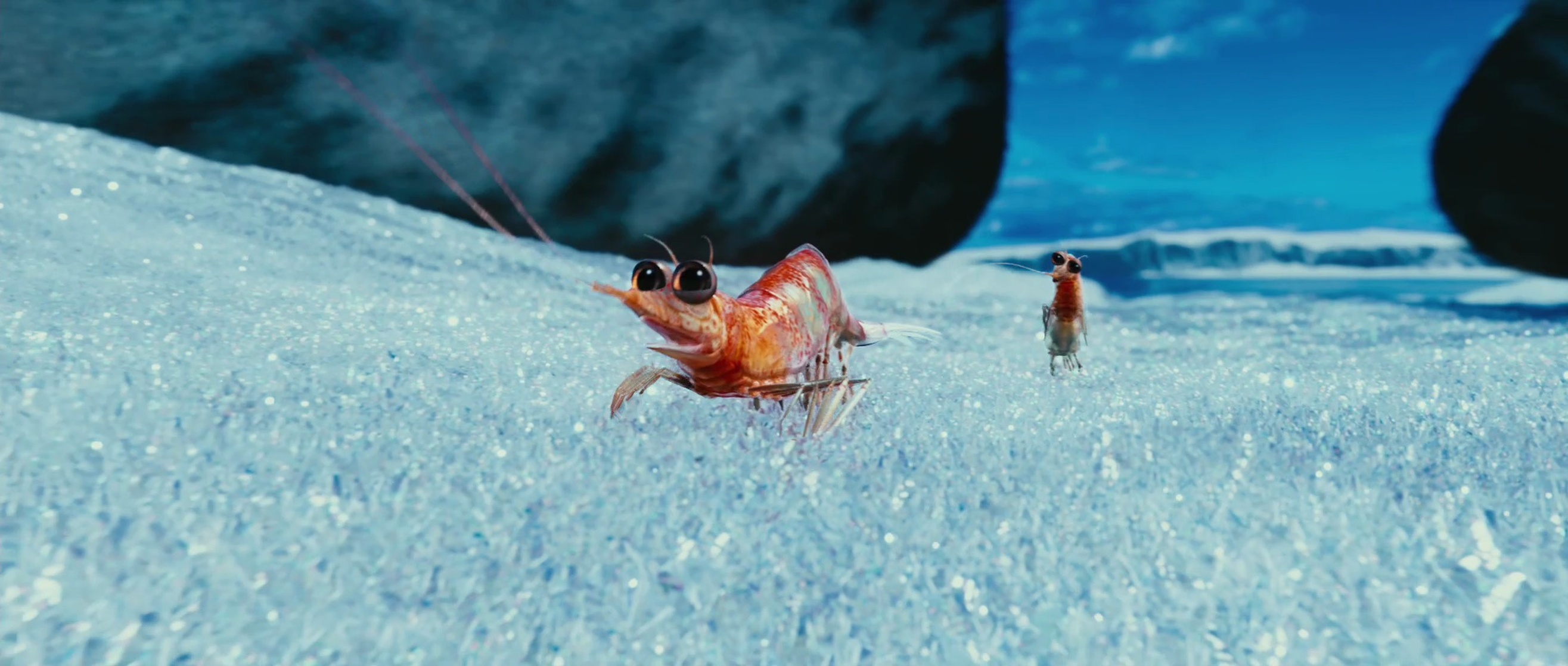 Will the Krill Will the Krill