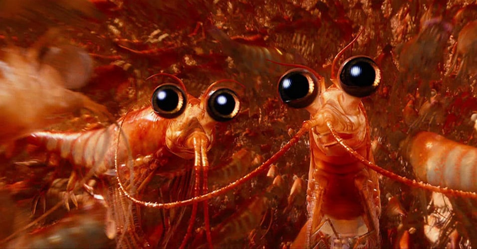 Will the Krill Will the Krill