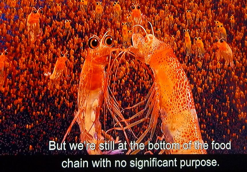 Will the Krill Will the Krill